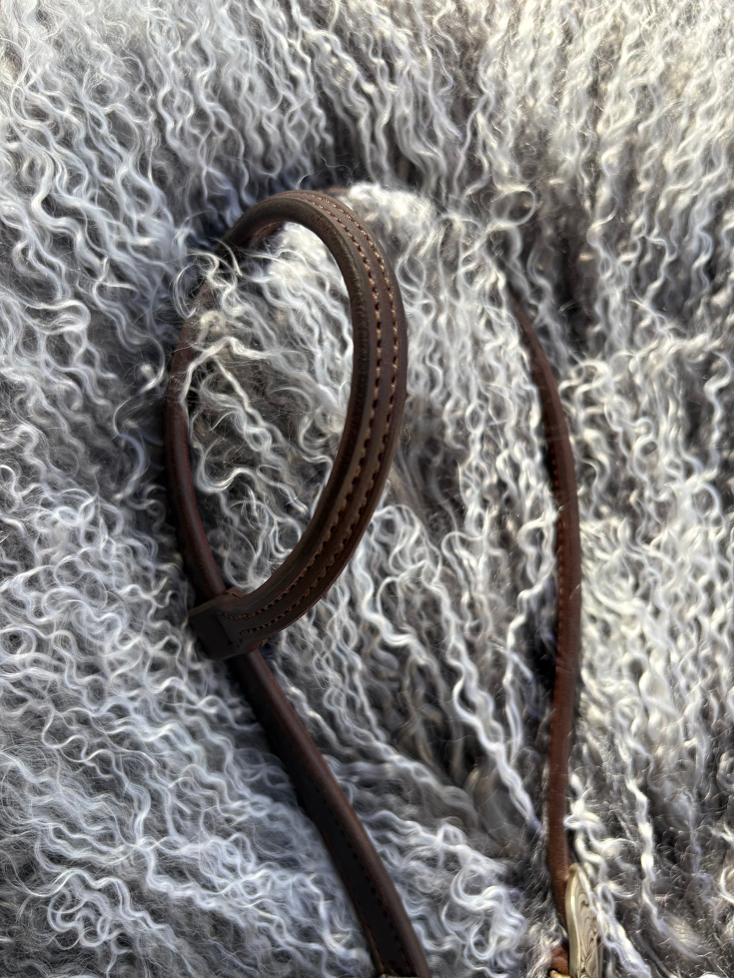 Kim Custom Headstall