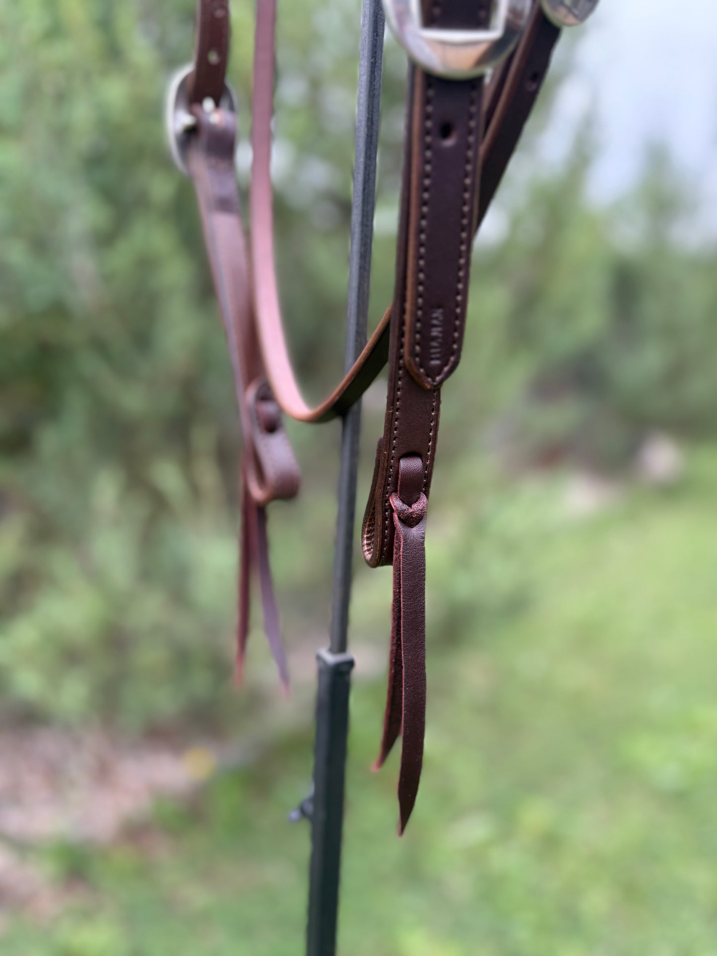 Brown Browband Headstall with Floral Conchos