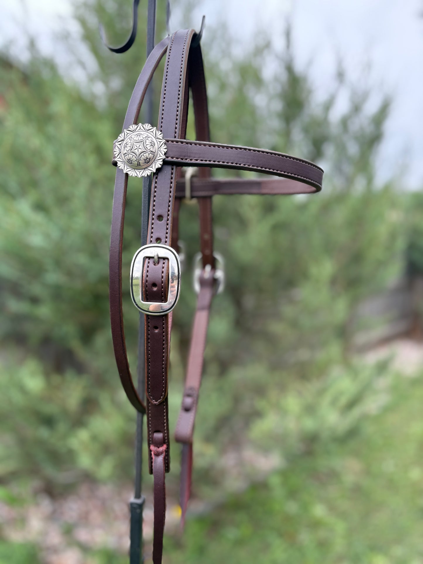 Brown Browband Headstall with Floral/Geo Conchos