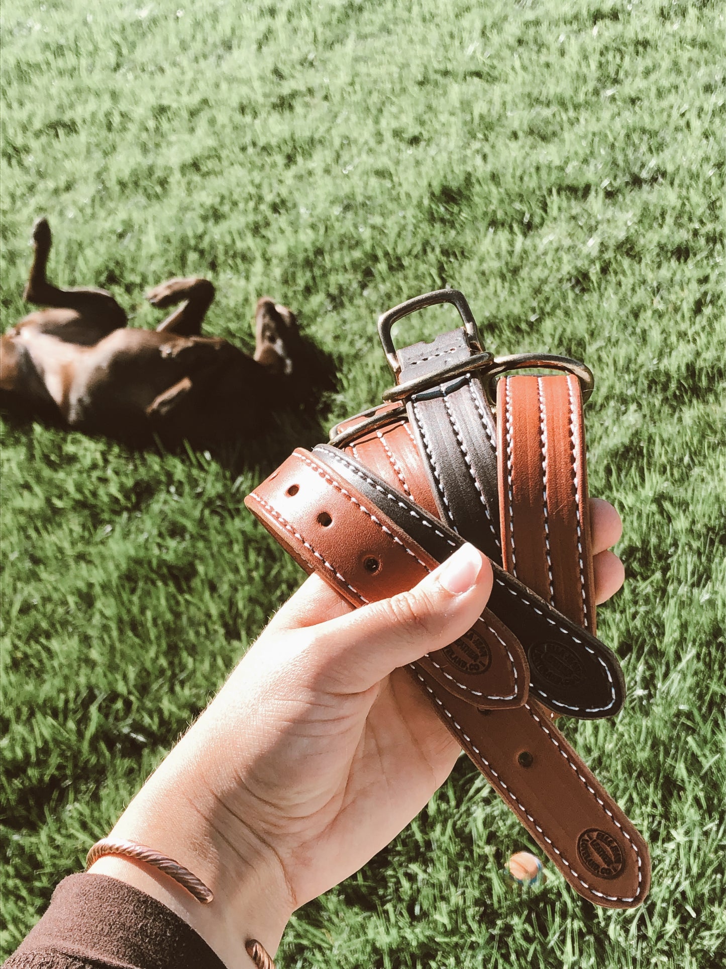 Triple Stitched Chestnut Dog Collar