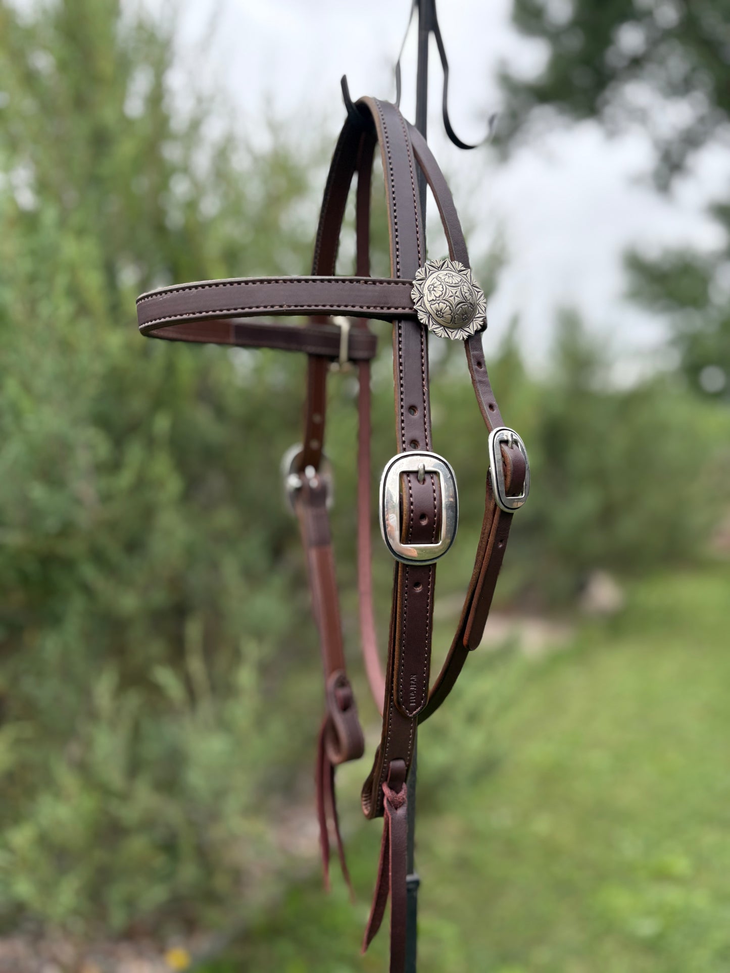 Brown Browband Headstall with Floral/Geo Conchos