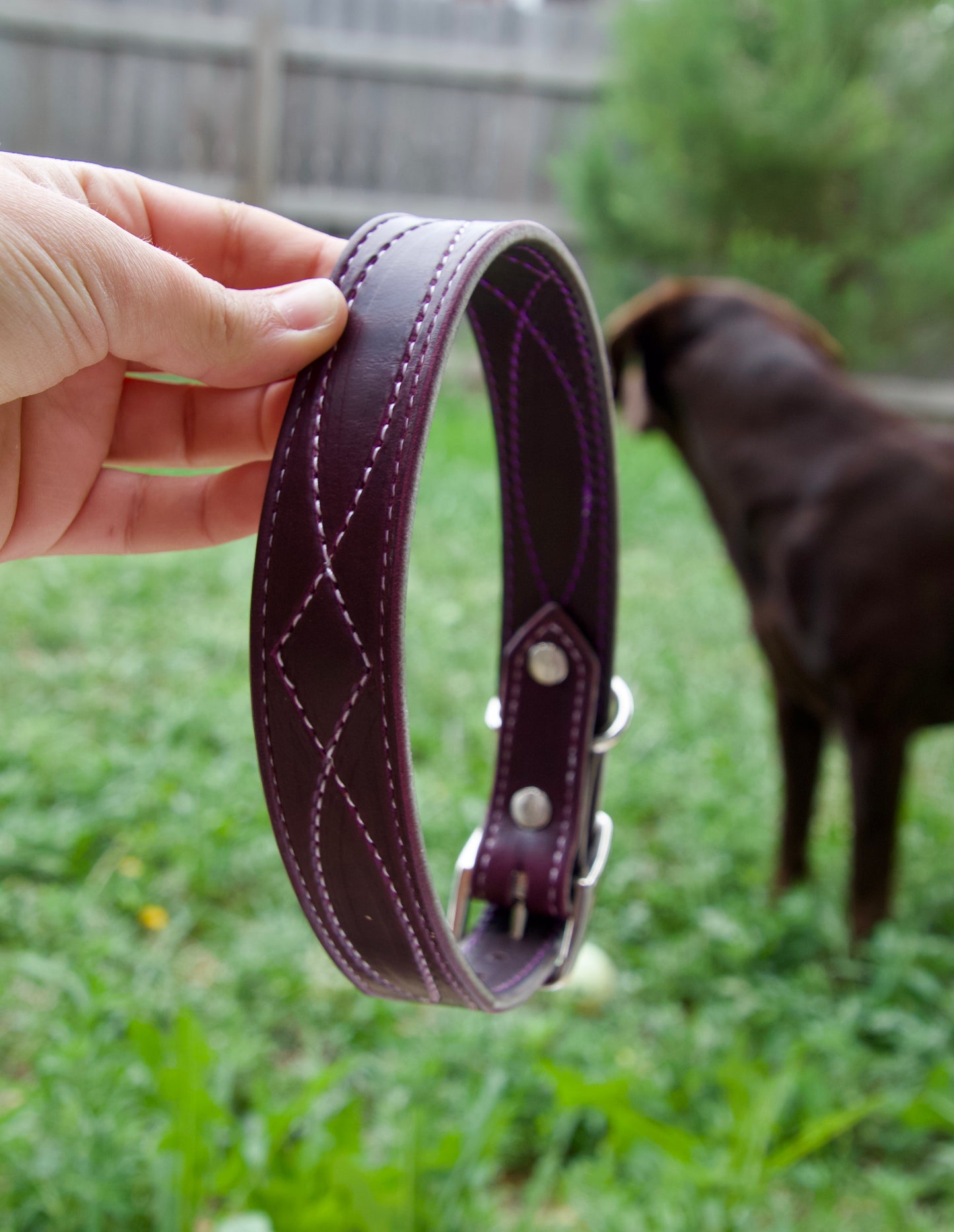 Plum Stitched Tapered Dog Collar