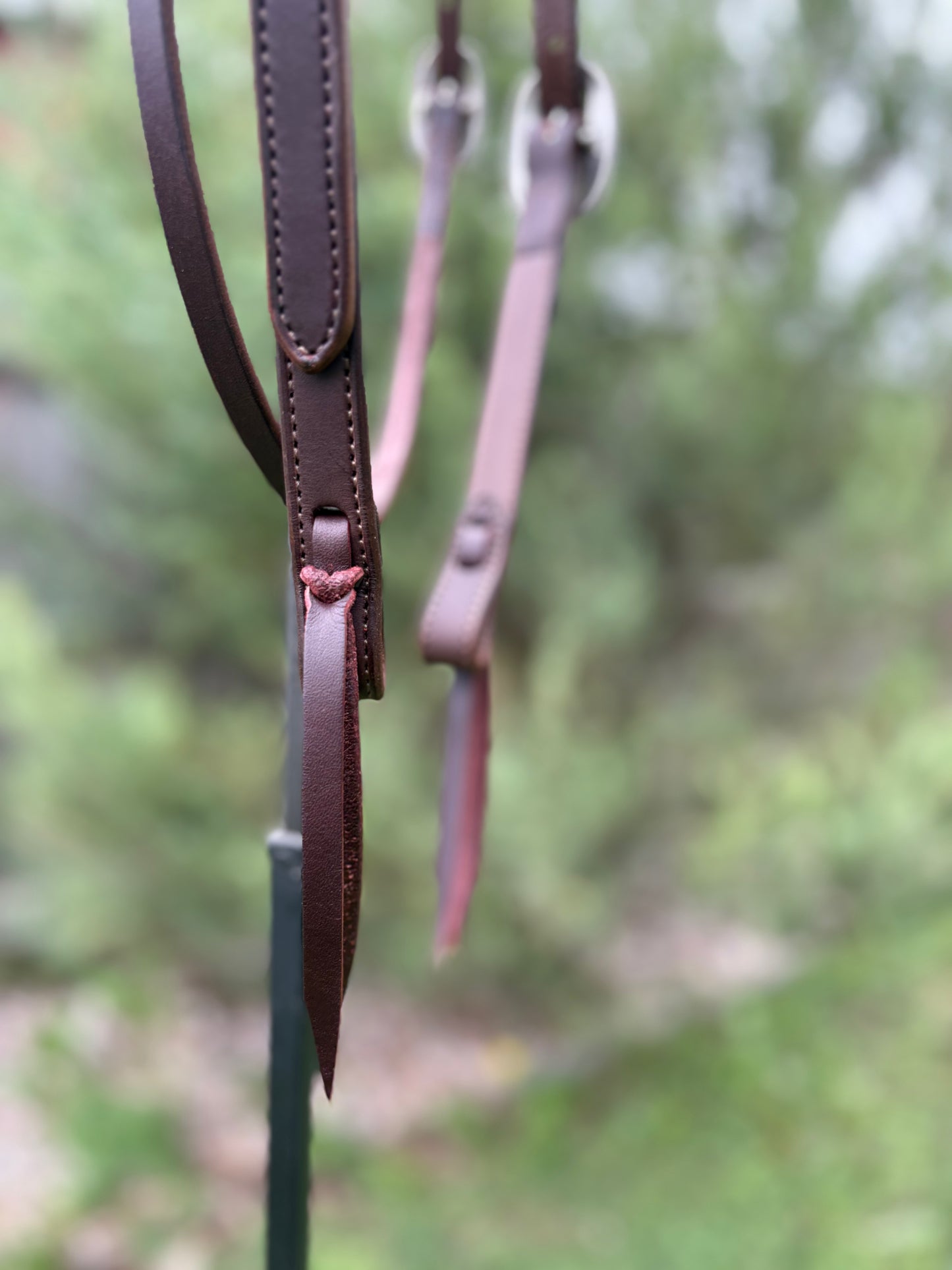 Brown Browband Headstall with Floral/Geo Conchos
