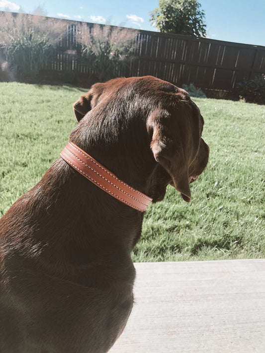 Triple Stitched Chestnut Dog Collar