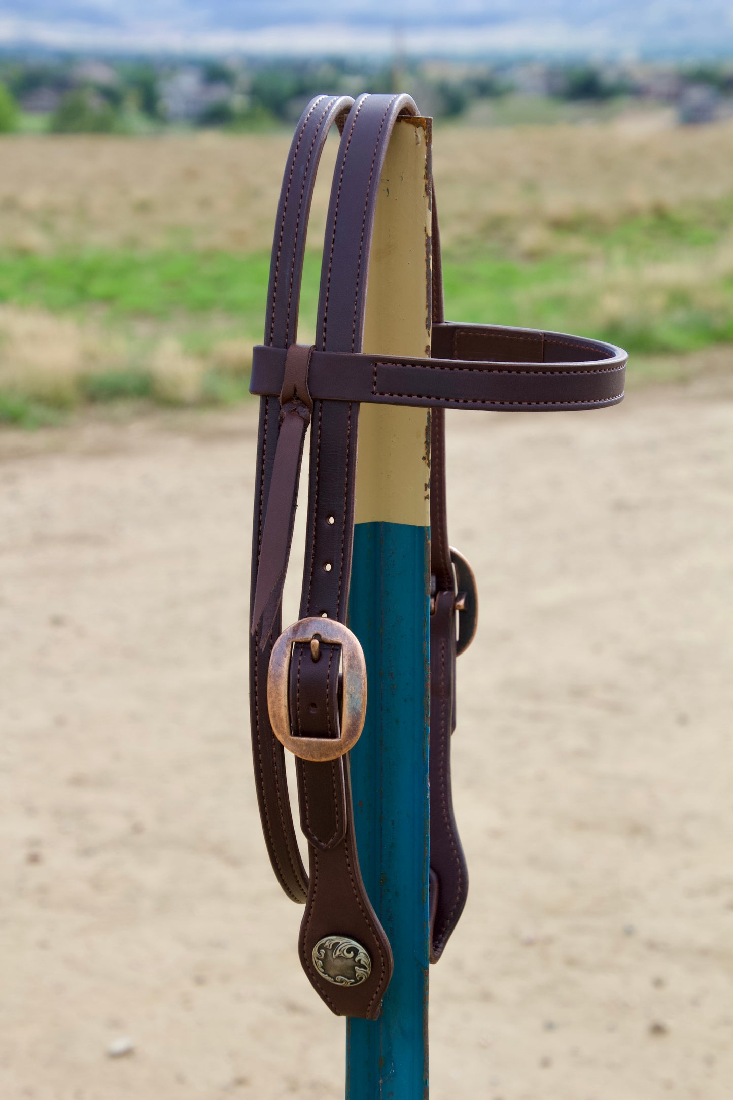 Pony Browband w/Scroll Conchos