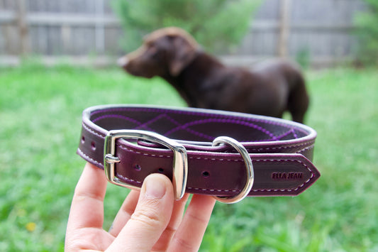 Plum Stitched Tapered Dog Collar