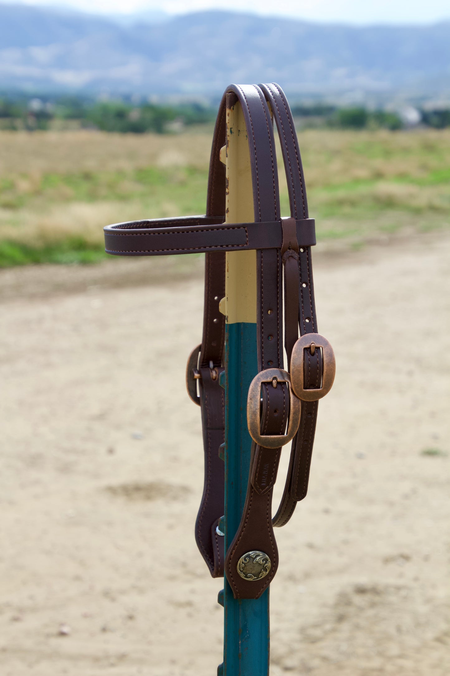 Pony Browband w/Scroll Conchos