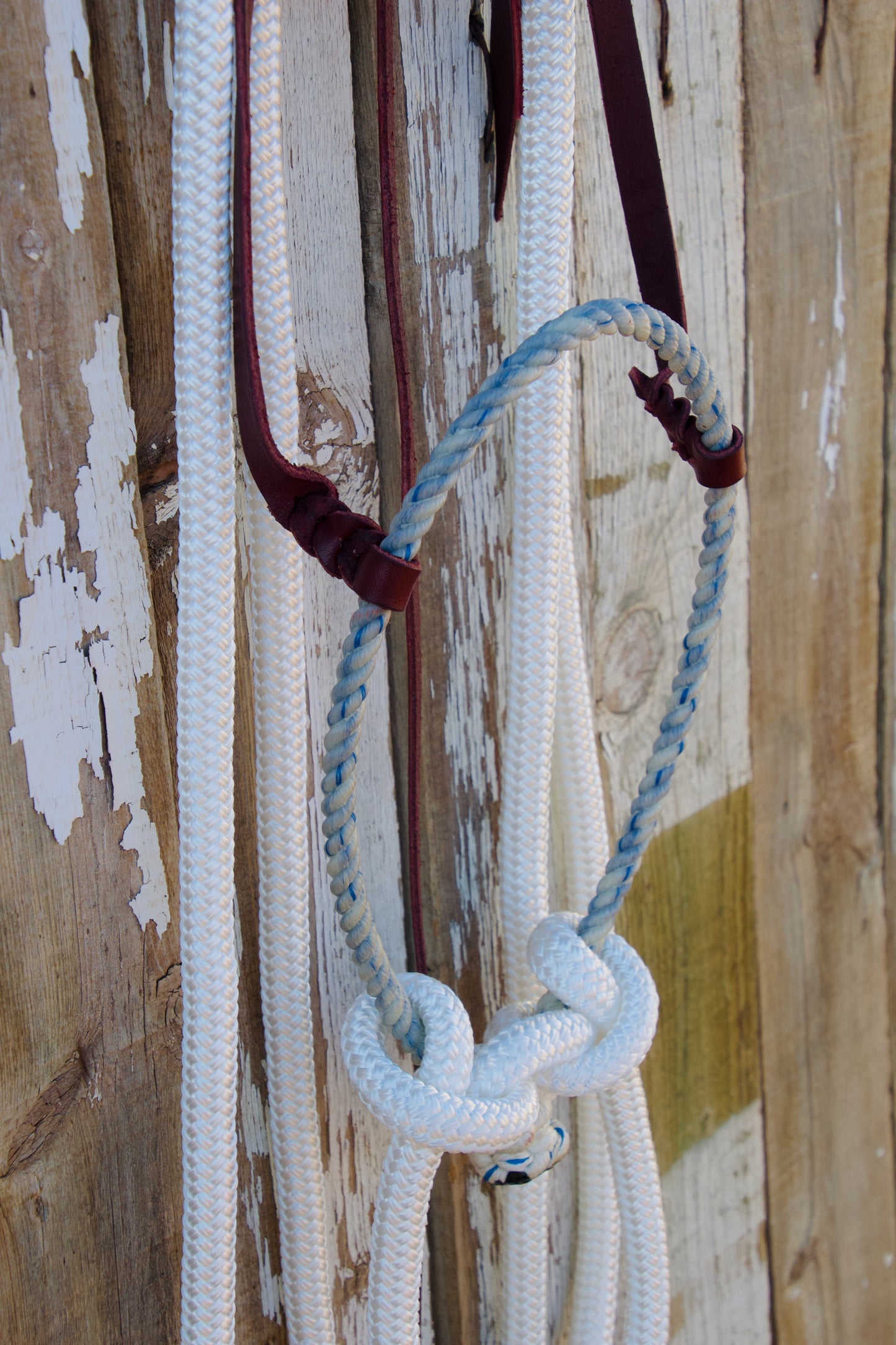 White Rein Loping Hackamore w/Tie-Back