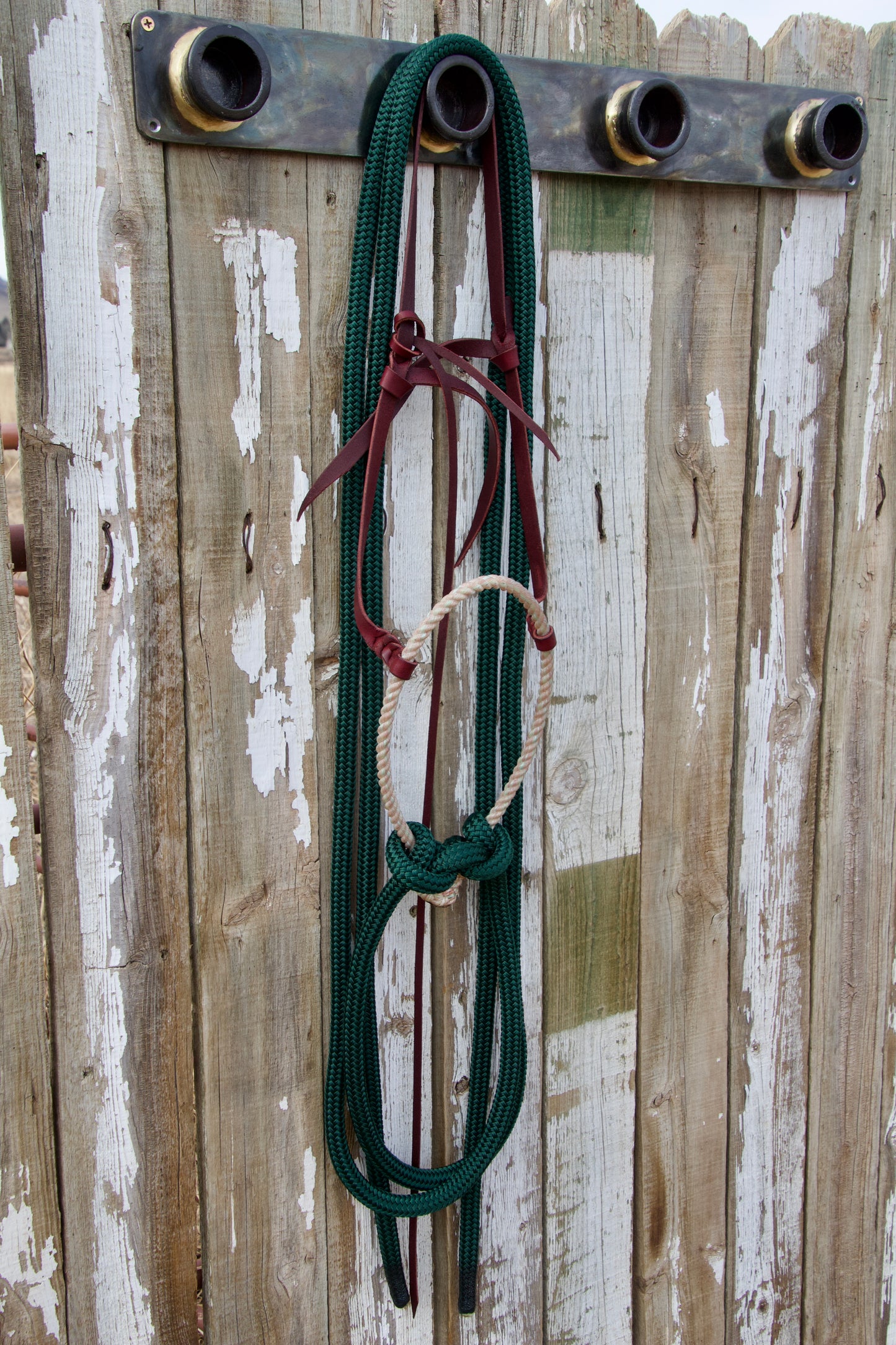 Dark Green Split Rein Loping Hackamore w/Tie-Back