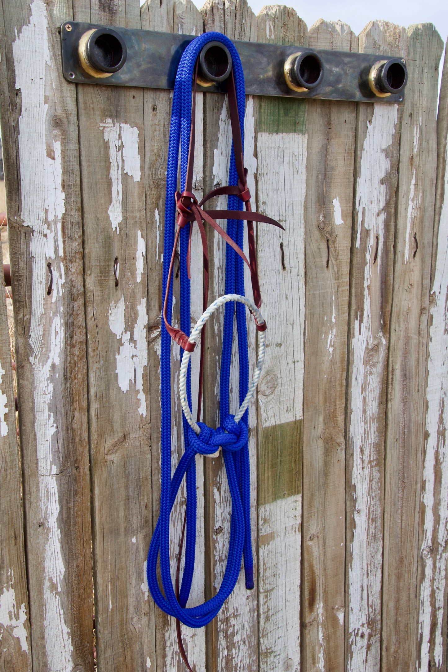 Royal Blue Split Rein Loping Hackamore w/Tie-Back