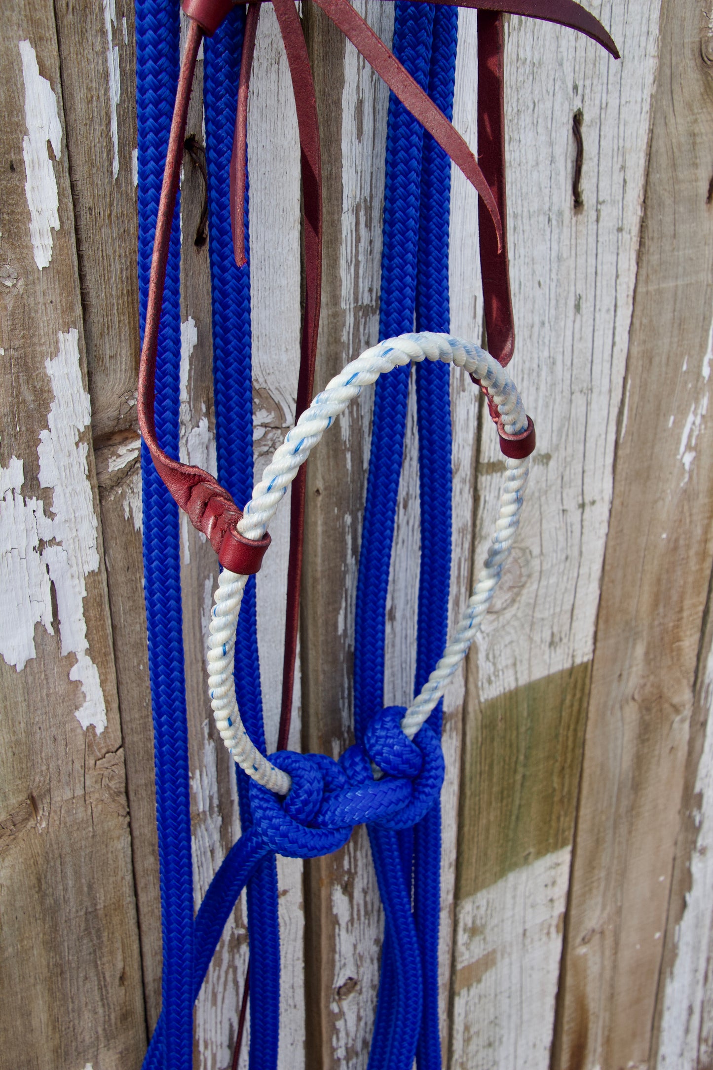 Royal Blue Split Rein Loping Hackamore w/Tie-Back