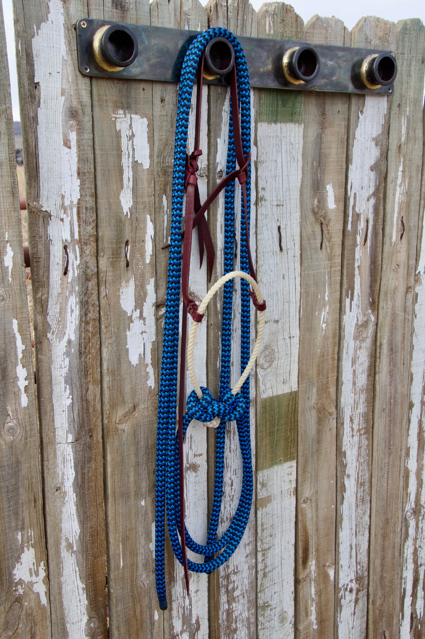 Black & Royal Blue Split Rein Loping Hackamore w/Tie-Back