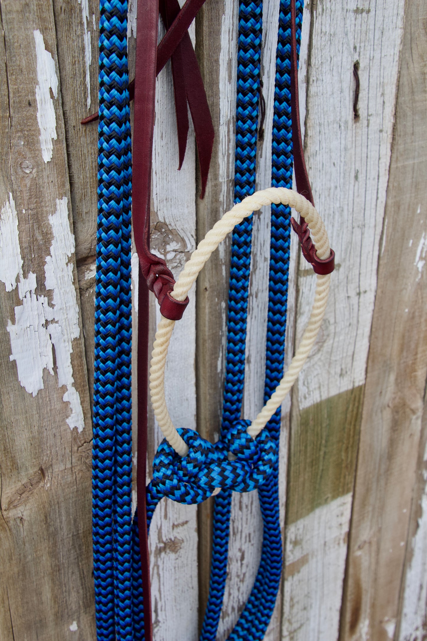 Black & Royal Blue Split Rein Loping Hackamore w/Tie-Back