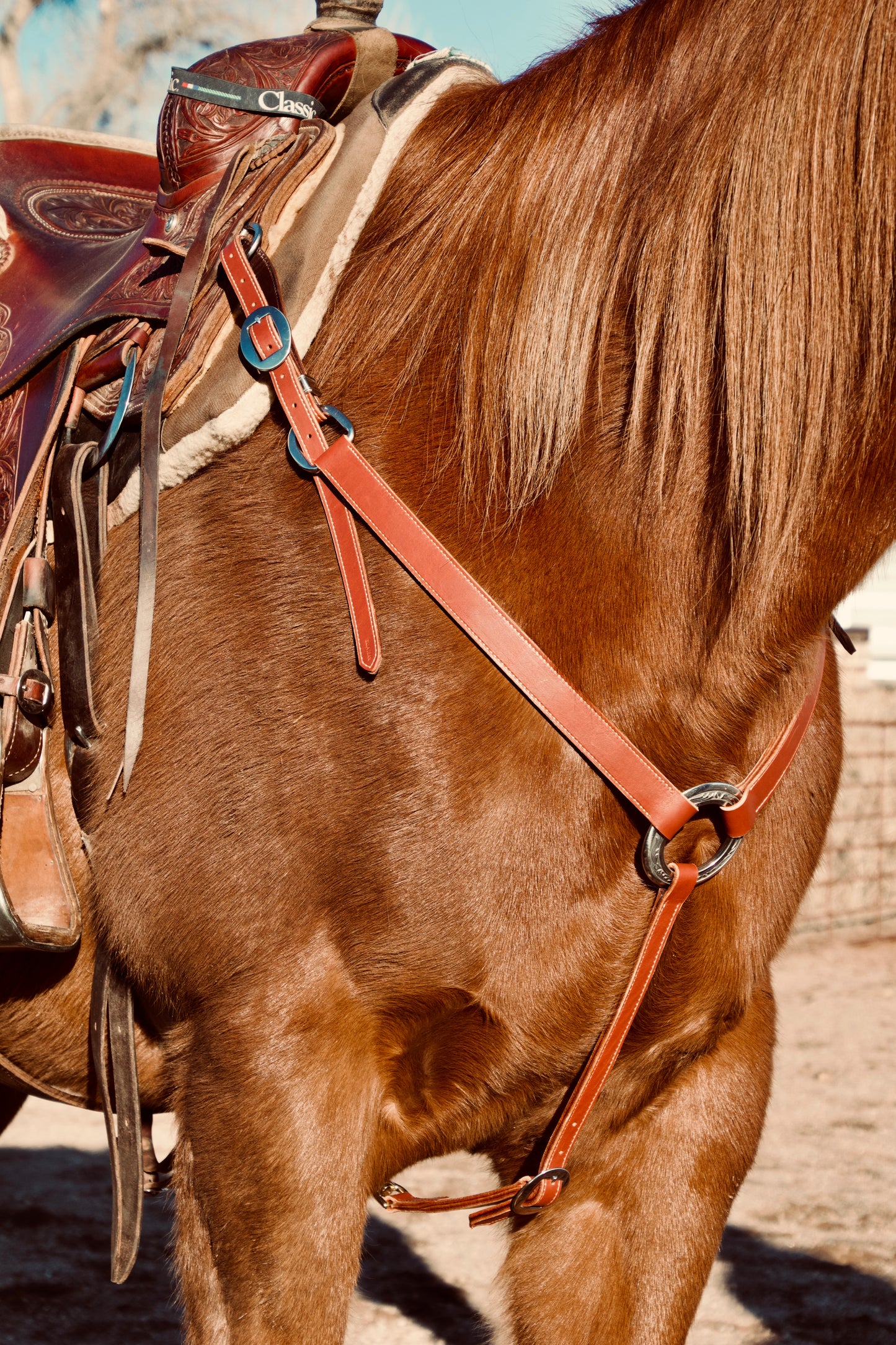 Chestnut Breast Collar