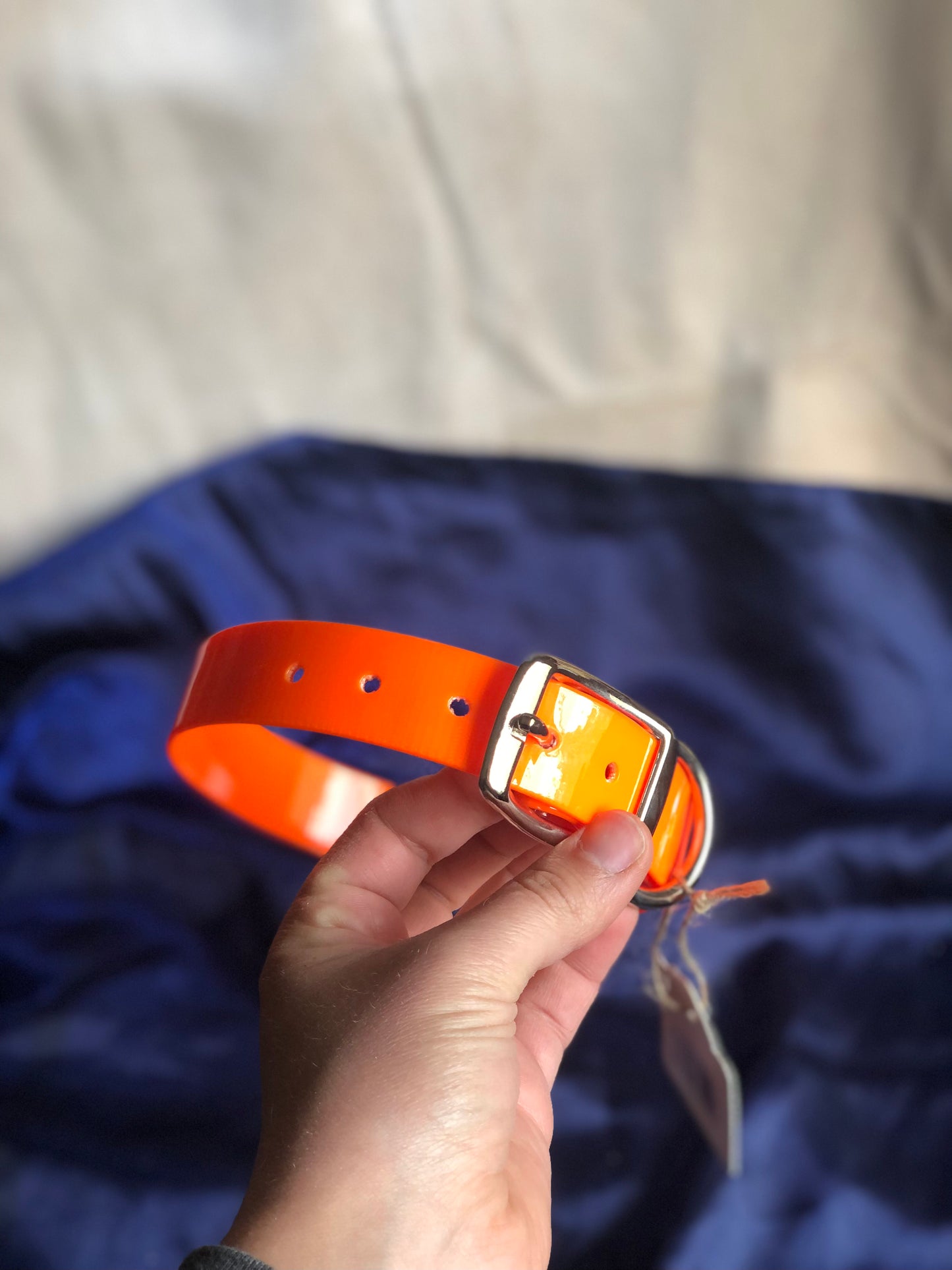 Biothane Dog Collar